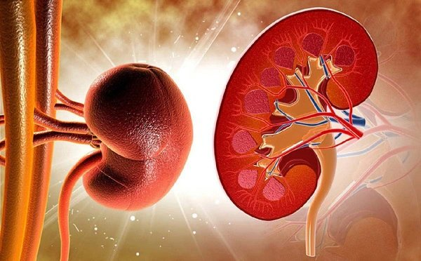 Suy thận cấp là gì? 4 điều cần biết về suy thận cấp để điều trị hiệu quả