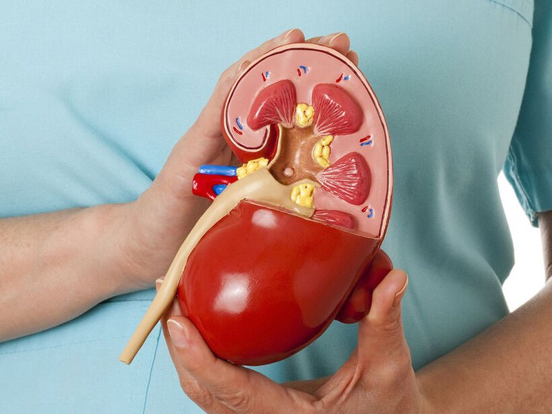 5 Dấu hiệu cảnh báo chức năng thận suy yếu